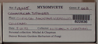 Image Associated With the Occurence